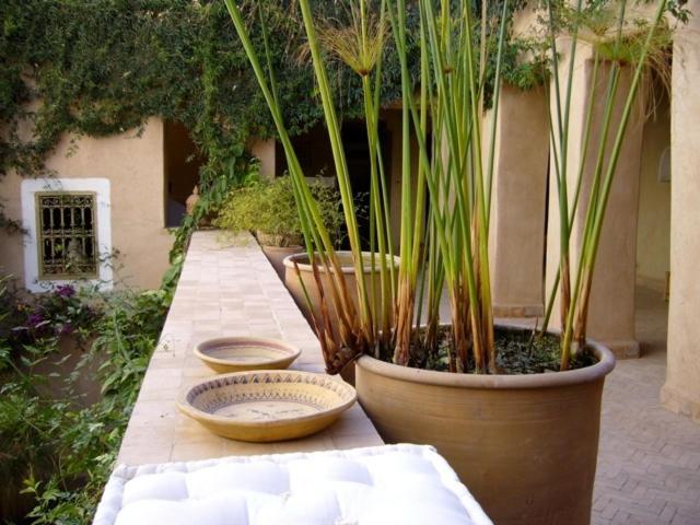 Dar Zahia Hotel Taroudant Exterior photo