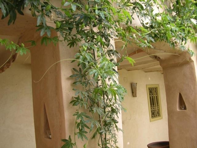 Dar Zahia Hotel Taroudant Exterior photo