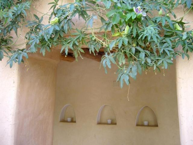 Dar Zahia Hotel Taroudant Exterior photo